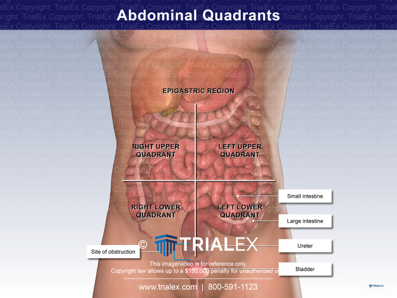 Abdomen Diagram Quadrants Abdomen Diagram Quadrants