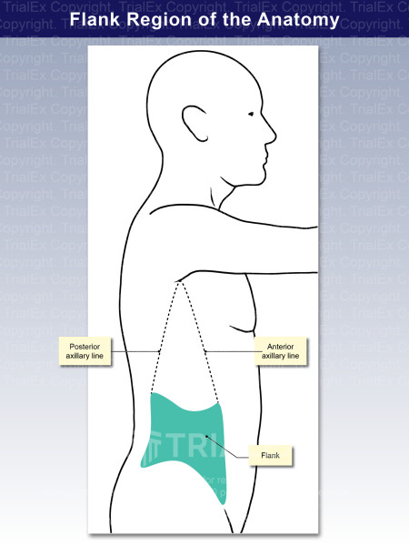 Left Flank Anatomy Niggling Back Pain And Numbness On Left Side Of Left Flank Anatomy Niggling Back Pain And Numbness On Left Side Of